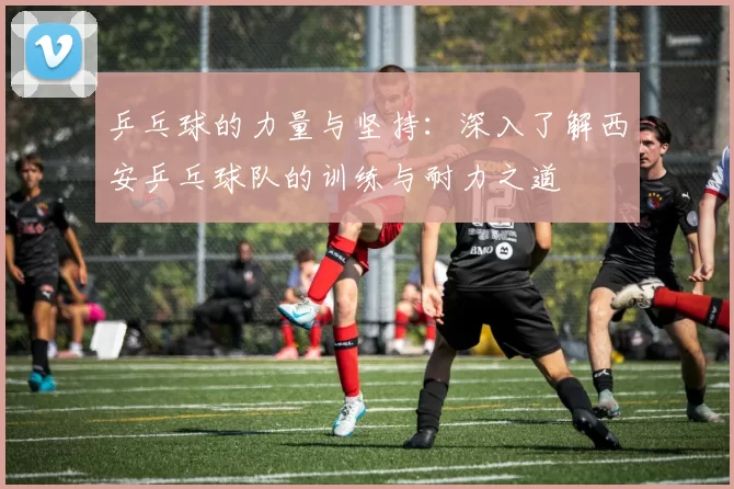 乒乓球的力量与坚持：深入了解西安乒乓球队的训练与耐力之道