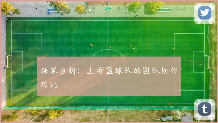 独家分析：上海篮球队的团队协作对比